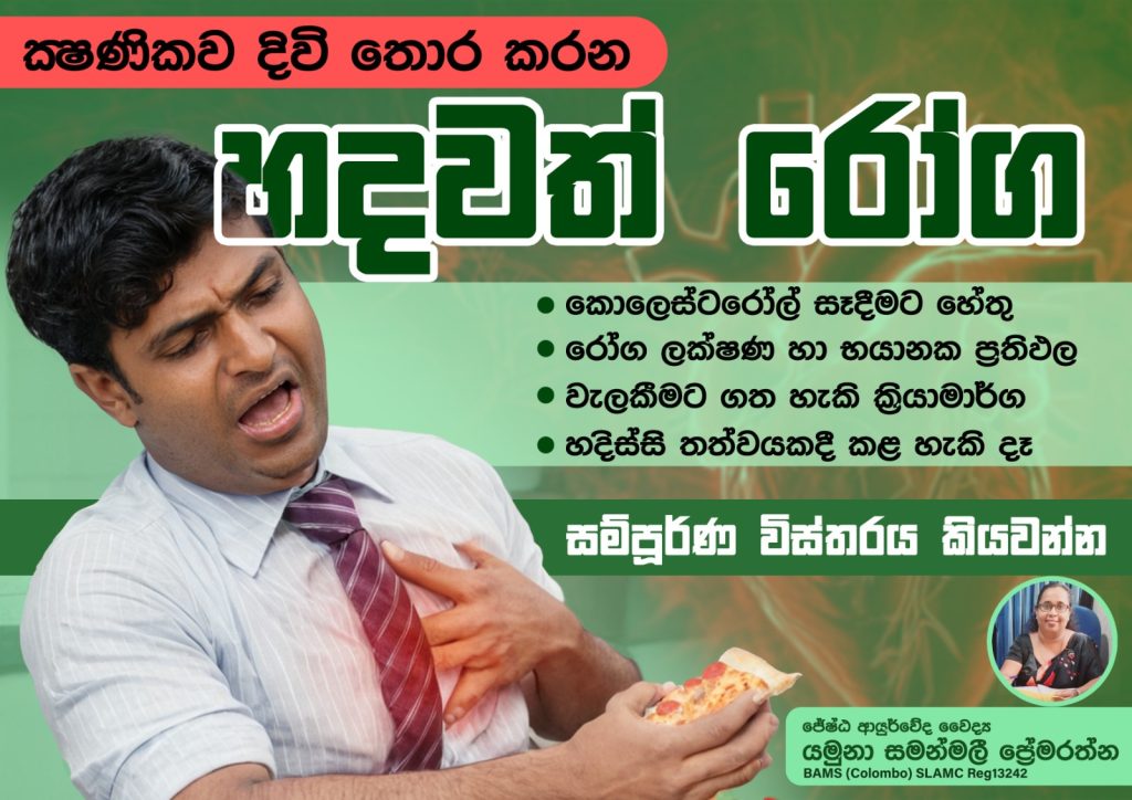 රුධිර කොලෙස්ටරෝල් අධි ලිපිඩමියාව ඩිස්ලිපිඩිමියාවමේධෝ වෘද්ධි